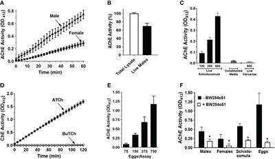 A novel, non-neuronal acetylcholinesterase of schistosome parasites is essential for definitive host infection